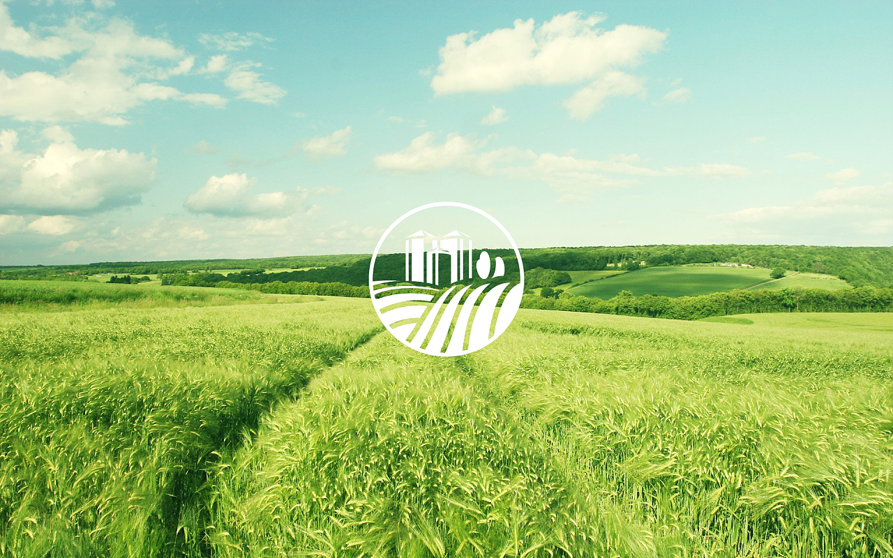 我出沒熊注意——探索綠色食品企業的LOGO設計理念